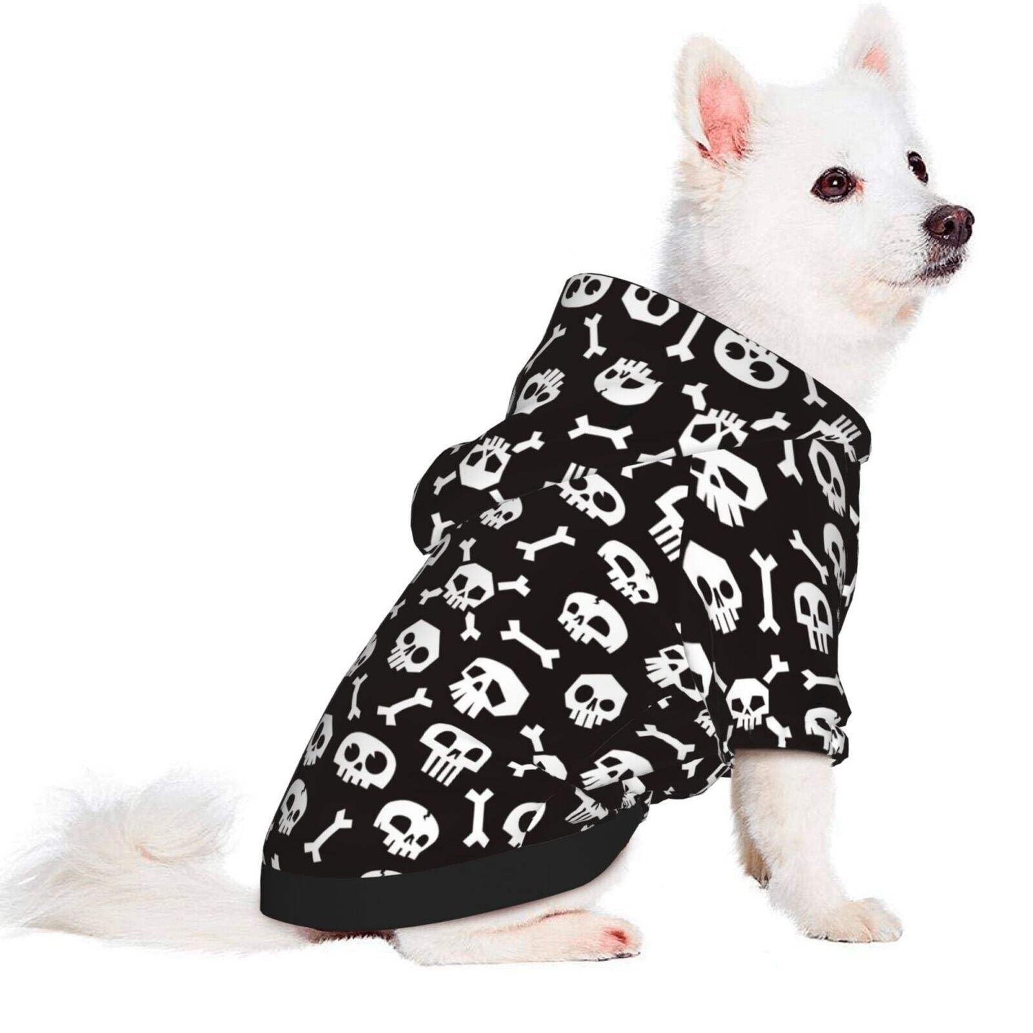 Costumes And Apparel
