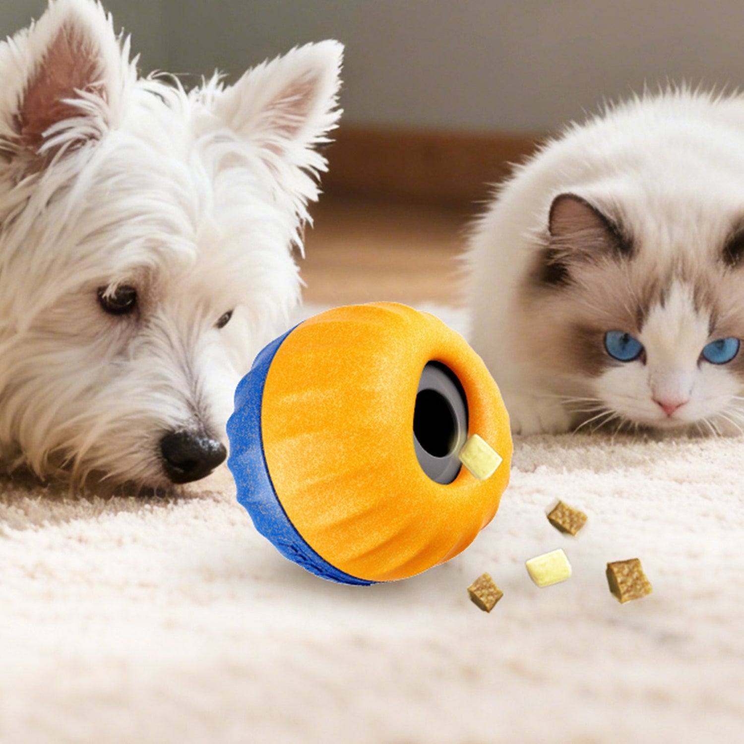 Dog And Cat Toys