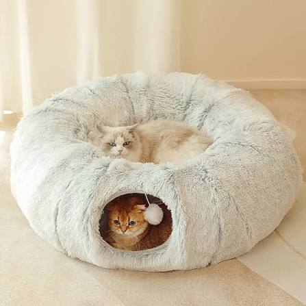 Cat Beds